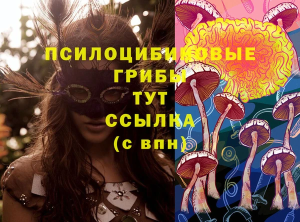 дмт Киреевск