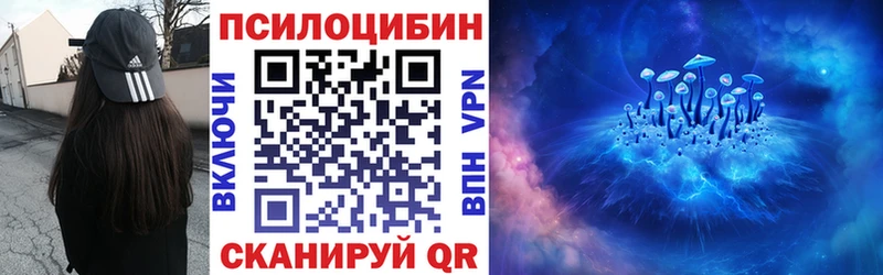 Купить  Кизляр  Псилоцибиновые грибы ЛСД 