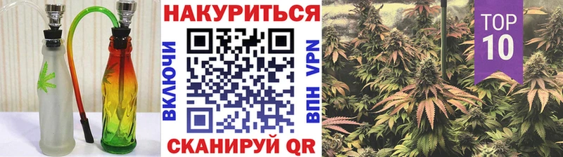 Конопля гибрид  Купить закладки  Кизляр 